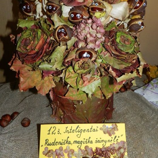 Iliustracija