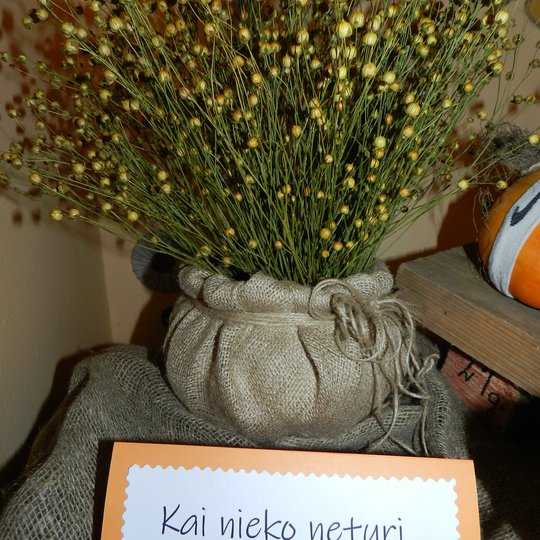 Iliustracija