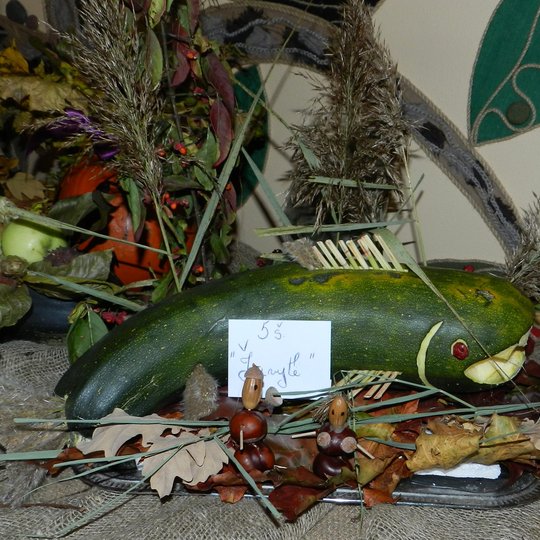 Iliustracija