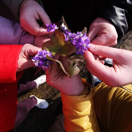 Iliustracija