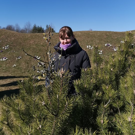 Iliustracija